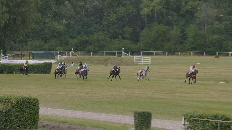 Koně a sport 2026: Conseq Memoriál Evy Palyzové v Lysé nad Labem