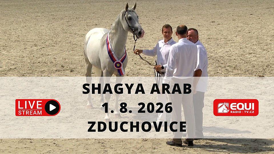 Živě: Sledujte XXXIV. Národní přehlídku koní plemene Shagya Arab na EquiTV