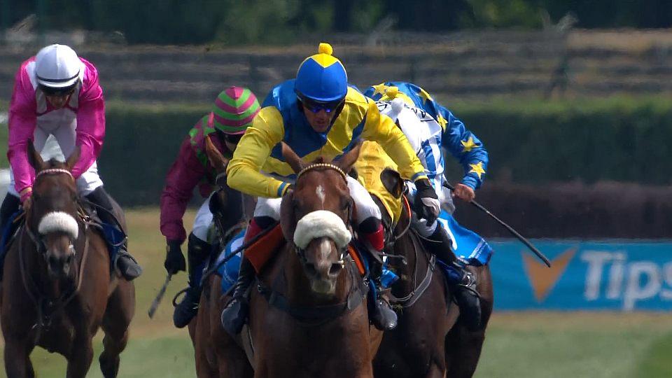 Koně a sport 2026: III. kvalifikace na 136. Velkou pardubickou DZ Pardubice