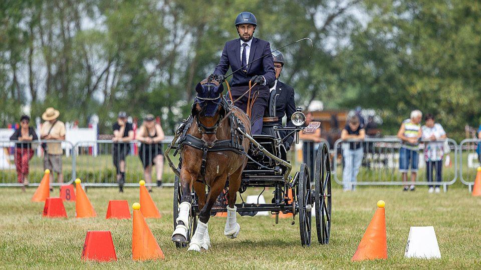 Koně a sport 2026: Mistrovství ČR spřežení Zemský hřebčinec Tlumačov
