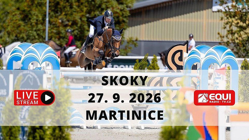 Živě: Sledujte 21. ročník Memoriálu Jana Papouška v Martinicích u Březnice