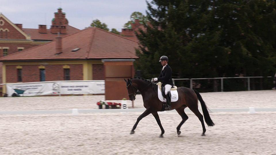 Koně a sport 2026: Kritérium mladých koní v drezuře Zemský hřebčinec Písek
