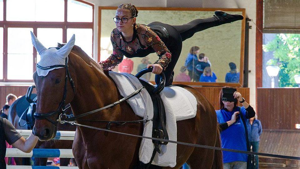 Koně a sport 2026: Mistrovství České republiky v paravoltiži Brno