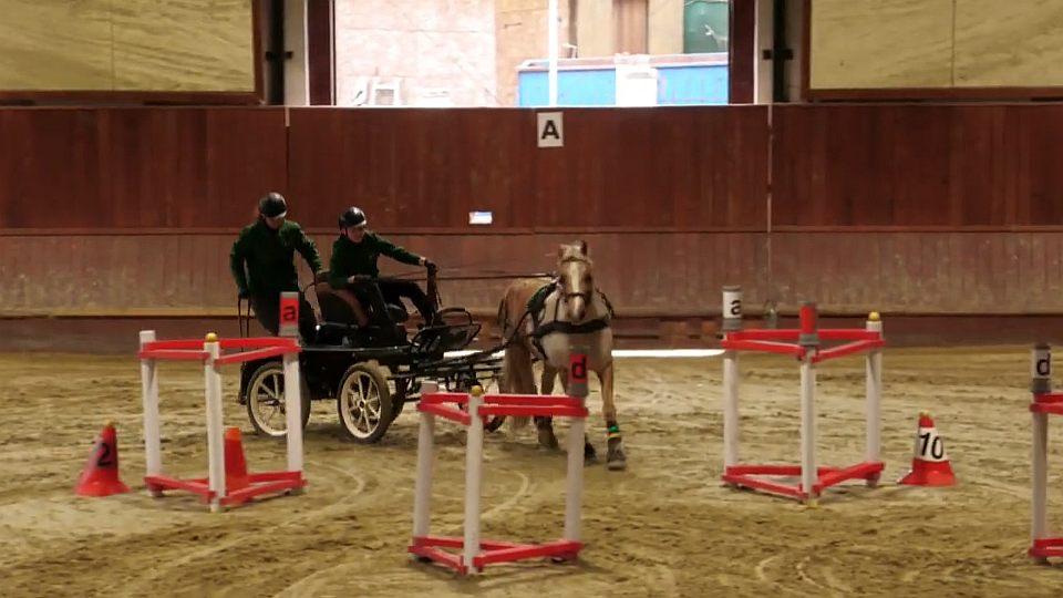 Záznam: Ve finále Vozatajského poháru SCHČSP 2026 dvakrát vyhrála Zápotocká