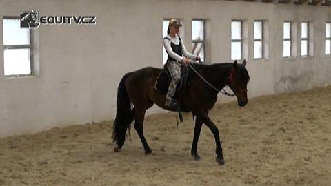 Partnership:Učíme koně couvání a zatáčení ze sedla