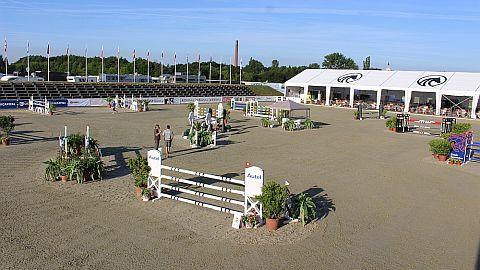 No video playback capabilities