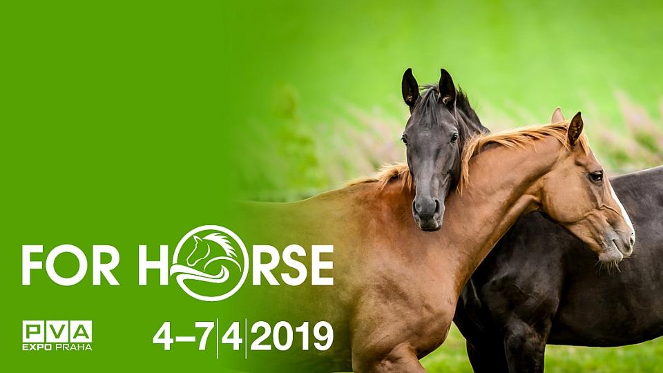 Koňský program úvodního dne veletrhu For Horse 2019 ŽIVĚ na EquiTV.cz