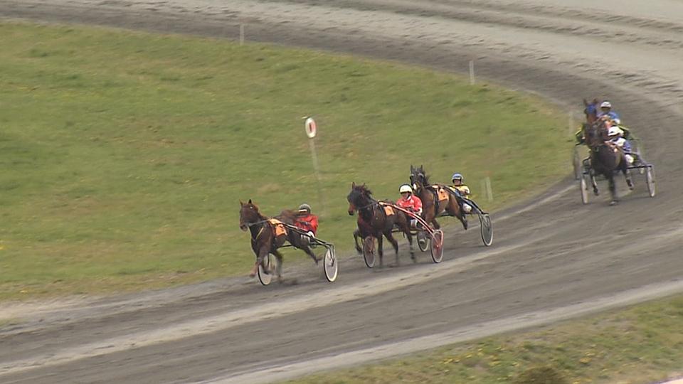 Klusáci ŽIVĚ na EquiTV: Velká dubnová cena a Trotteur Francais II 2019
