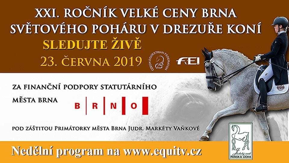 Sledujte ŽIVĚ nedělní program CDI3*-W Brno 2019 na EquiTV.cz
