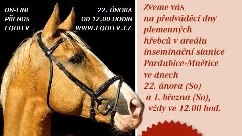 No video playback capabilities