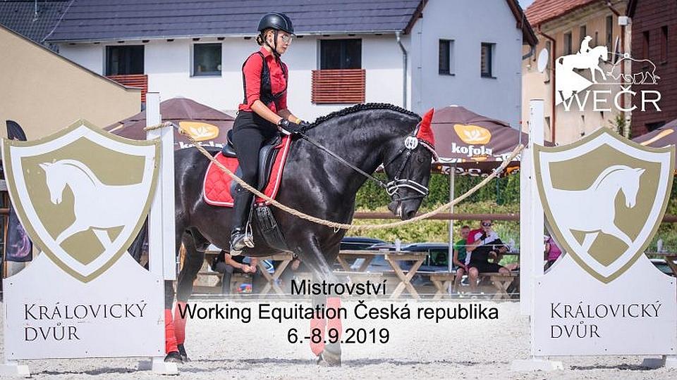 Sobotní národní šampionát ve Working Equitation v Královicích ŽIVĚ!