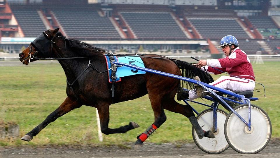 Sledujte České klusácké derby 2019 ve Velké Chuchli ŽIVĚ na EquiTV.cz