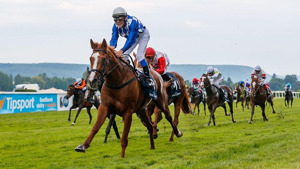 Sledujte ŽIVĚ dostihový den EŽ Praha 2019 z Velké Chuchle na EquiTV.cz