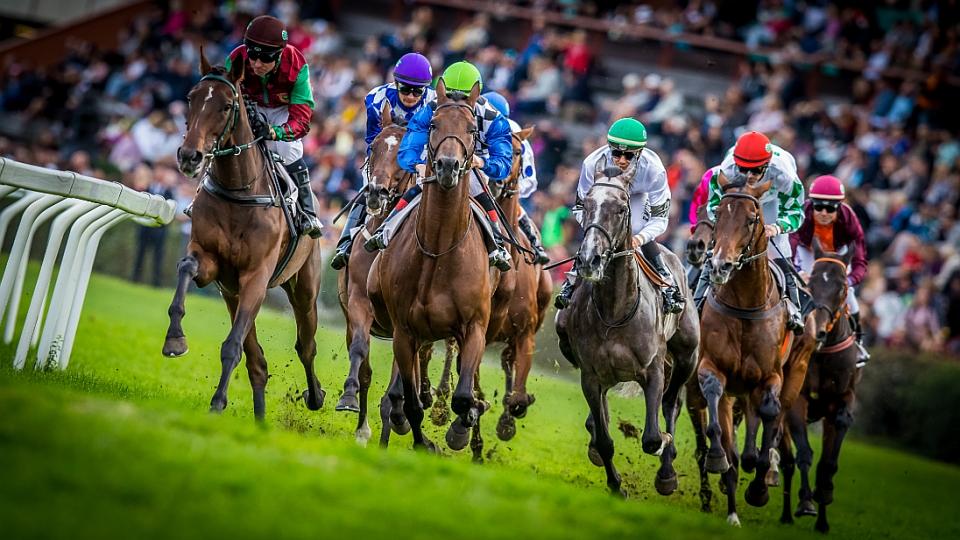 Leram Evropský pohár žokejů 2019 ve Velké Chuchli ŽIVĚ na EquiTV.cz