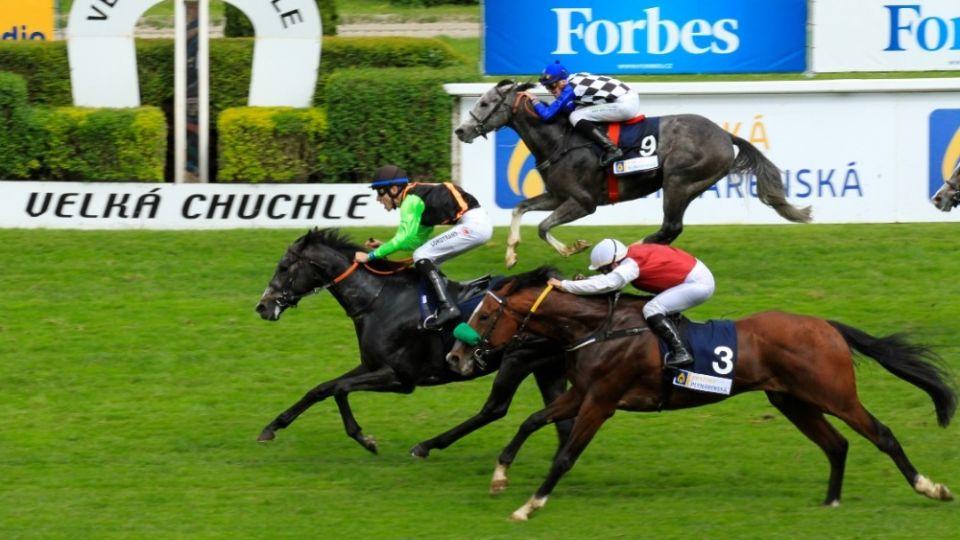 ŽIVĚ: Nejdelší pražský dostih. Sledujte Cenu prezidenta republiky