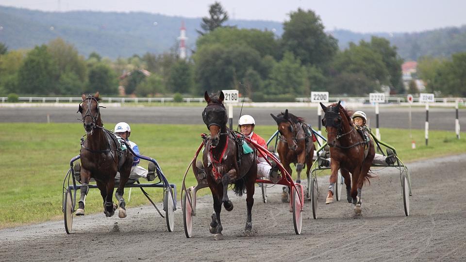 Klusáci ŽIVĚ na EquiTV: Sledujte Velkou květnovou cenu 2020 v Chuchli
