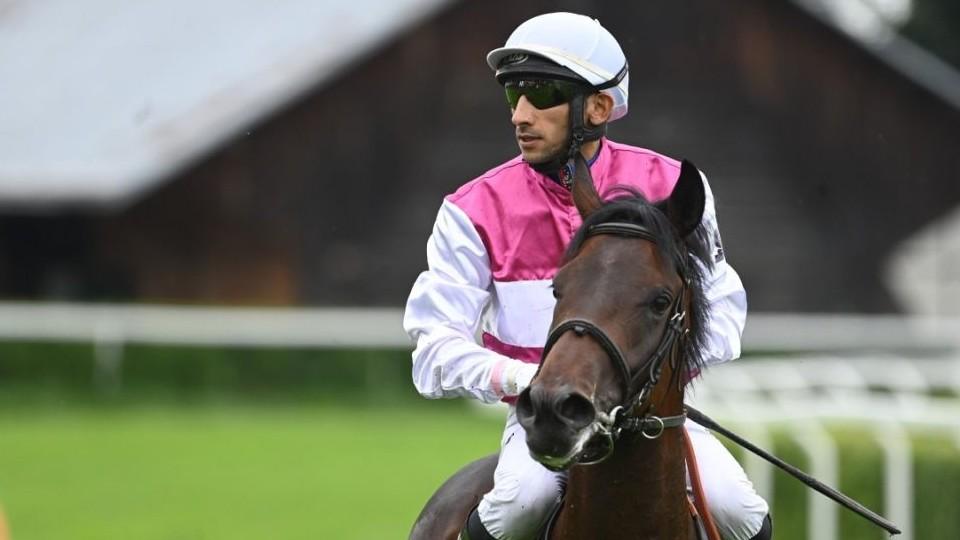 Živě: Velká jarní cena slibuje kvalitu. Sledujte druhý klasický dostih