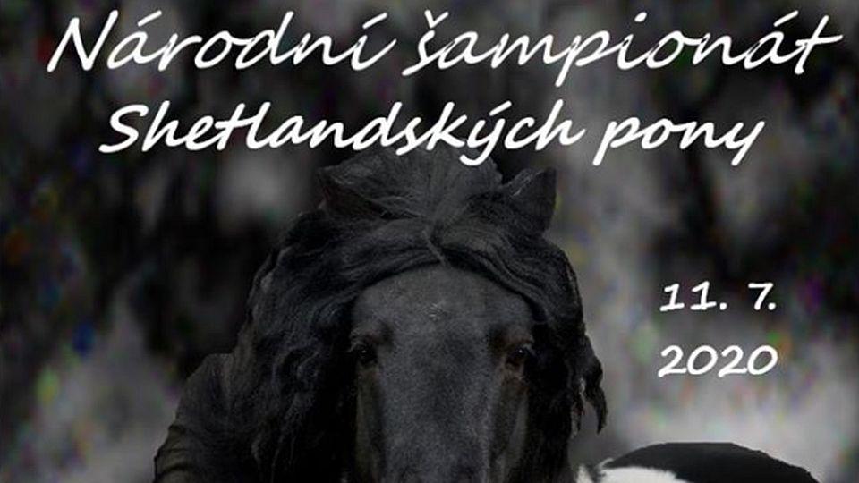 Sledujte ŽIVĚ na EquiTV.cz: Národní šampionát shetlandských pony 2020