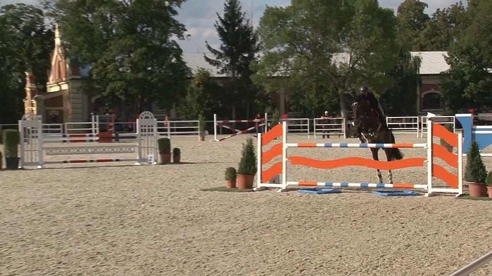 ŽIVĚ: Finále Kritéria mladých koní 2020 v Písku sledujte na EquiTV.cz 