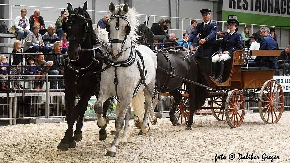 Sledujte ŽIVĚ na EquiTV.cz: Denní program výstavy Kůň 2020 v Lysé
