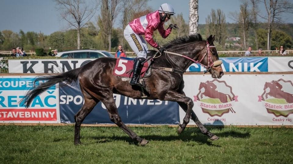 Živě: Aenease vyzve Her Him. Sledujte Memoriál Evy Palyzové