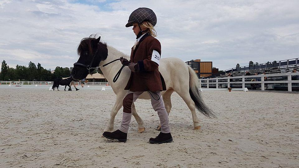 Živě: Národní šampionát shetlandských pony 2021 v Chuchle Areně Praha
