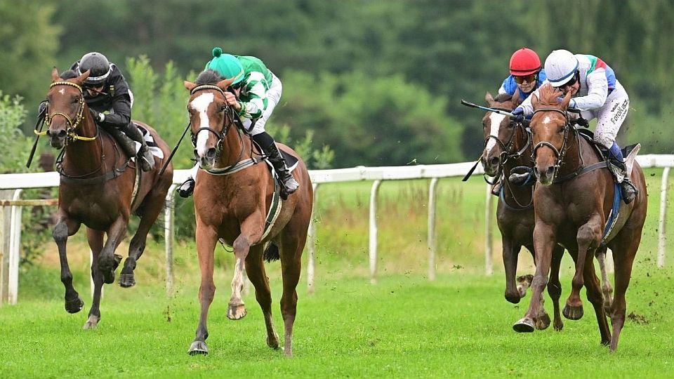 Živě: Hledá se zimní královna. Sledujte dostihy v Karlových Varech