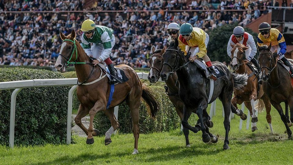 Živě: Nenechte si ujít tiskovku a losování Evropského poháru žokejů