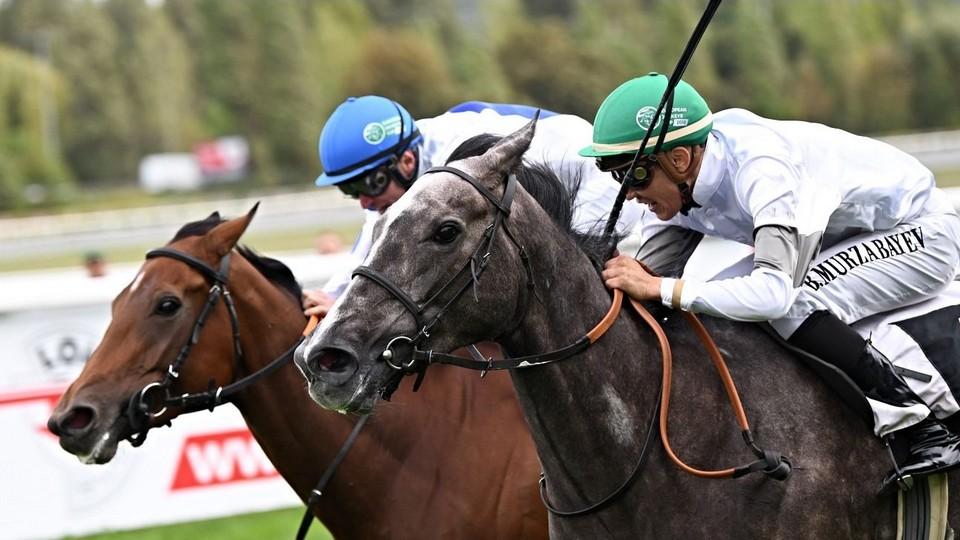 Živě: Souboj hvězd v Chuchle Areně. Sledujte Evropský pohár žokejů