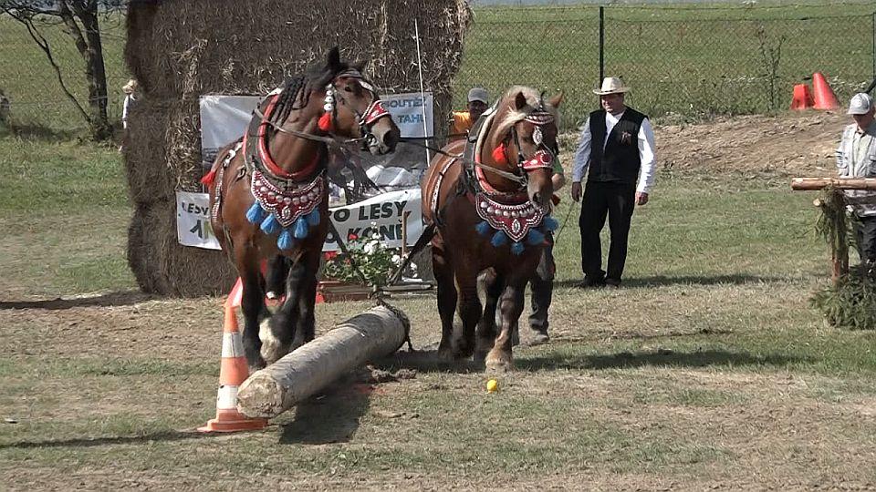 Živě: MČR v kompletní soutěži chladnokrevných koní 2021 v Tlumačově
