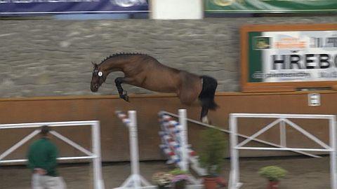 No video playback capabilities